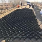 CE Certified Green Geocell for Road Construction Professional HDPE Geocell