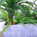 Natural Wood Artificial Landscape Trees Lily Bamaboo For Home Decor Evergreen No