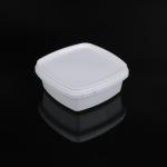 Heatable Square Household Large Capacity Food Crisper Container Box