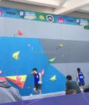 Indoor Durable Life-like Bouldering Artificial Climbing Stone with 2-2.3 kgs