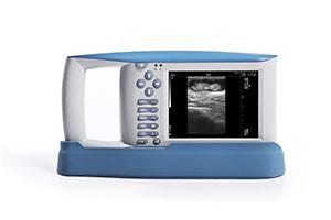 Wholesale USB Diagnostic Ultrasound Equipment With OB Software For Animals And 100 Images Storage from china suppliers