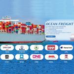 China To Turkey Professional Container Sea Freight Shipping Service Agent