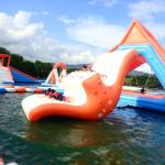 0.9mm PVC Tarpaulin Fabric Inflatable Water Sport, Inflatable Water Totter Slide