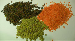 Buckwheat Barley Wheat Lentil Optical Colour Sorter Coffee Cleaning Color Sorter Machine Grain Wheat Grading Color Sorter