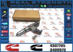 Diesel High Quality 4307795 Common Rail Injector 4307795 Auto Parts Injector